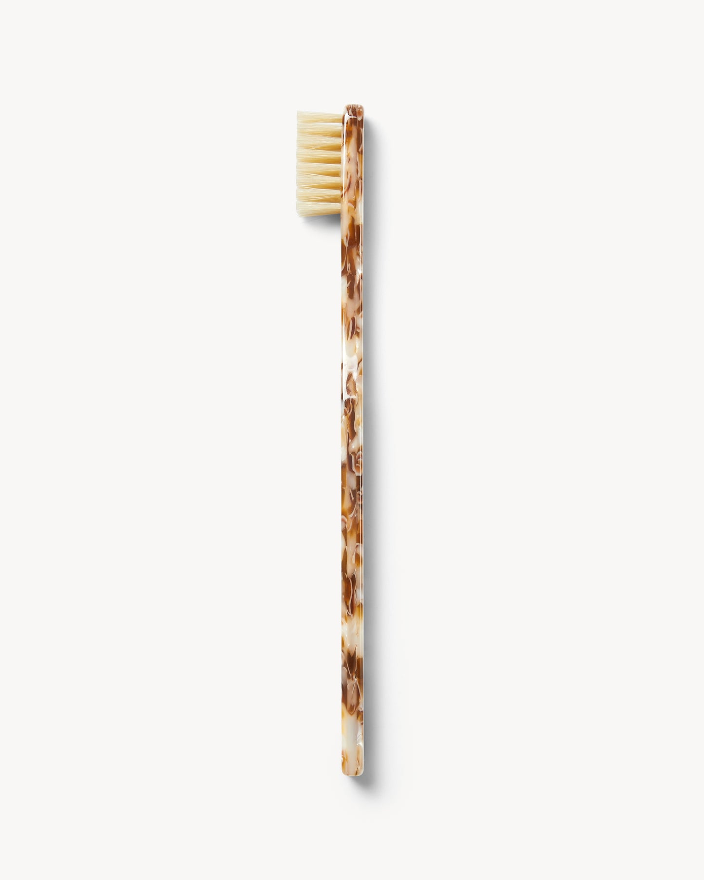 Toothbrush in Baja Tortoise