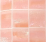 Apricot Shell Checker Pattern