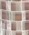 Brown Shell Pattern