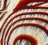 Canyon Pattern