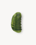 Crescent Claw in Algae