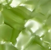 Pistachio Pattern