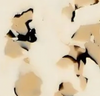 Terrazzo Pattern