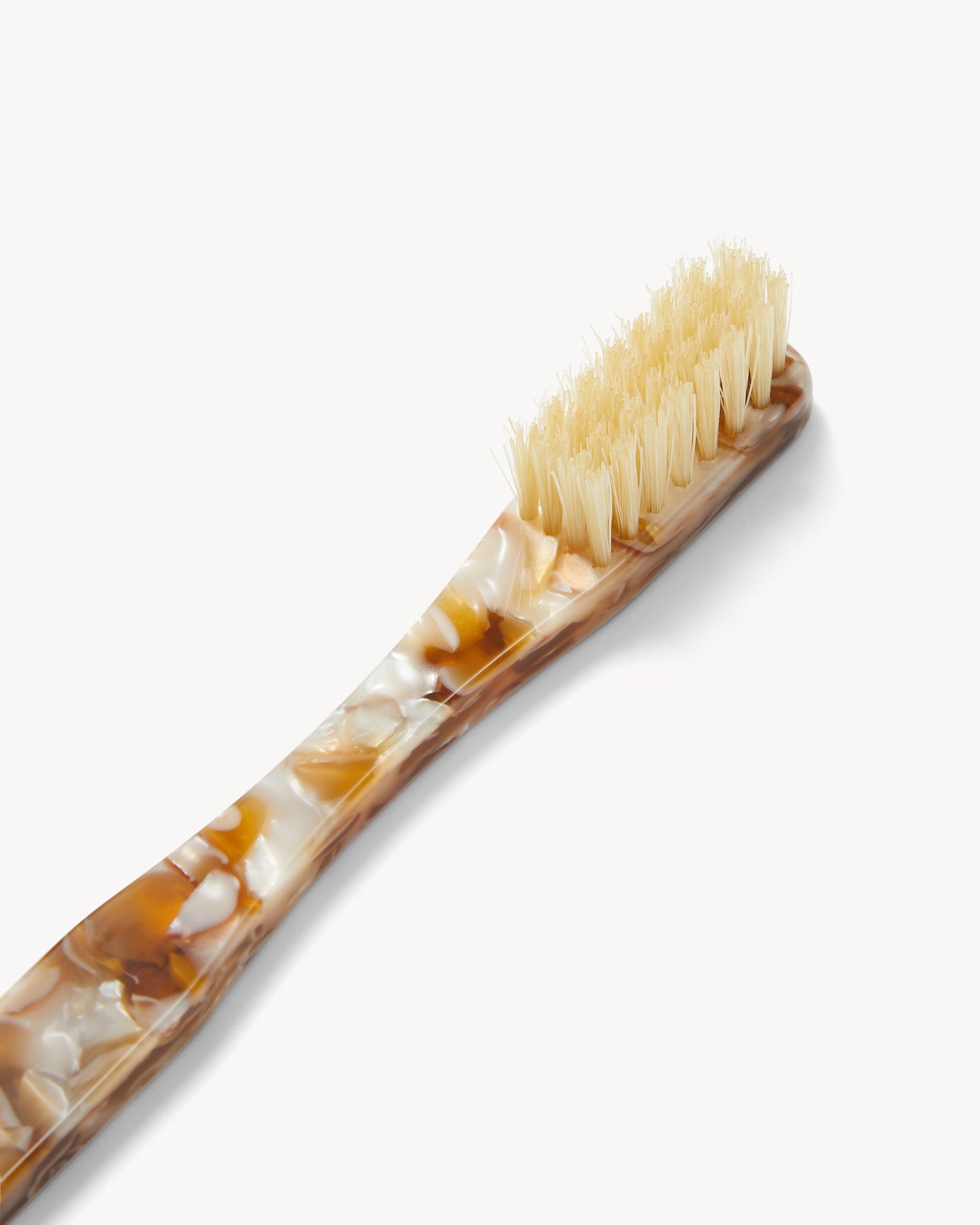 Toothbrush in Baja Tortoise
