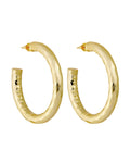 1.5" Wavelet Hoops in Gold