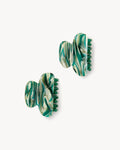 Twin Heirloom Claws in Stromanthe